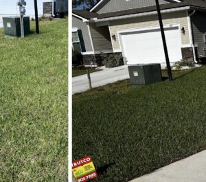 Jacksonville lawn care services Fertilization before and after